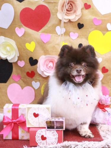 20230224太郎くん